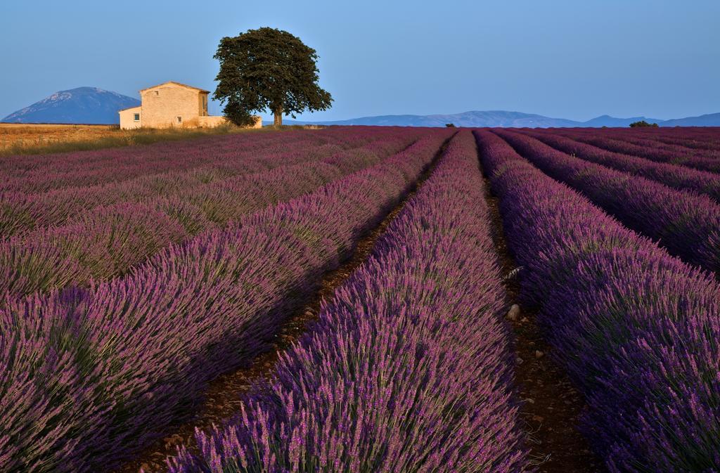 Hotel La Maison Des Collines Allemagne-en-Provence Exterior foto